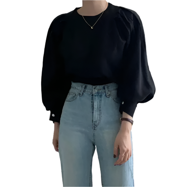 Trendy & Elegant Puff Long Sleeve Versatile Women's Shirt TOP-B1-BL-253