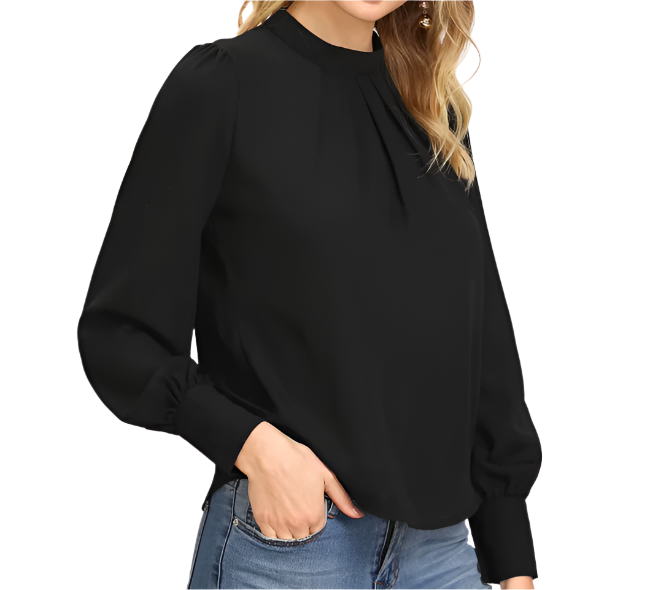 Trendy & Timeless Women's Elegant Long Sleeve Round Neck Chiffon Blouse SHIRT-BL127