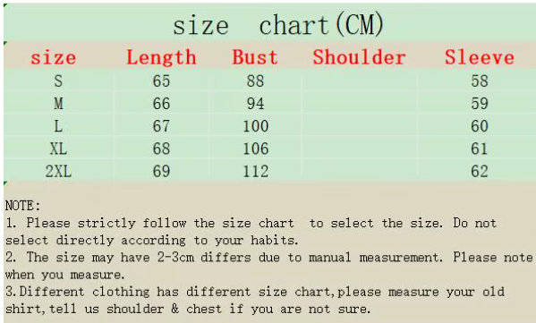 Timeless & Elegant Rounded V -Zipped Neck Line Tunic Long Sleeve T Shirt - SM8-TOP-92A