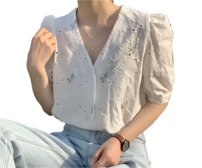 Embroidered V-neck with Half Bubble Sleeve Top for Women – BL58