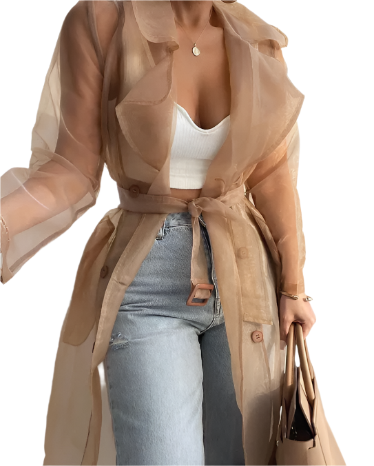 Women’s Stylist Transparent Puff Sleeve V-neck Waist Belt Cardigan Shirts Coat - BL33