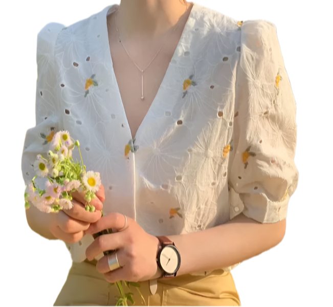 Embroidered V-neck with Half Bubble Sleeve Top for Women – BL58