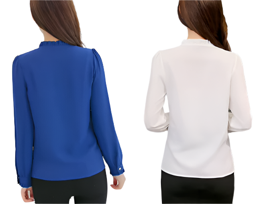 BPARAS- Women's Elegant & Timeless Chiffon Long Sleeve Dress SHIRT-BL102