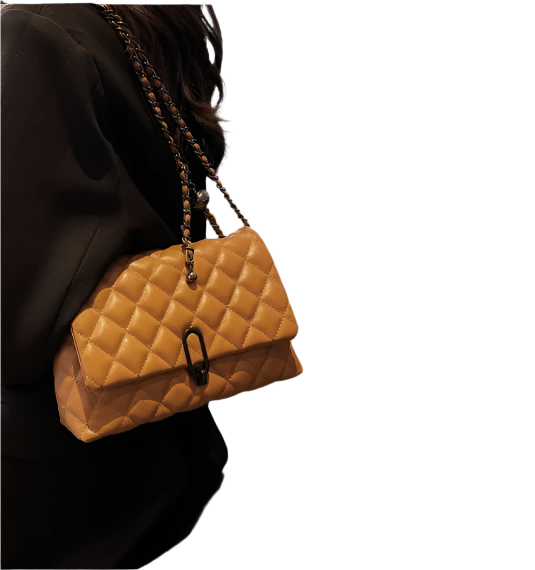 Elegant Chain Shoulder Strap Crossbody Bag Handbags for Women - B3-BAG-128 - Z