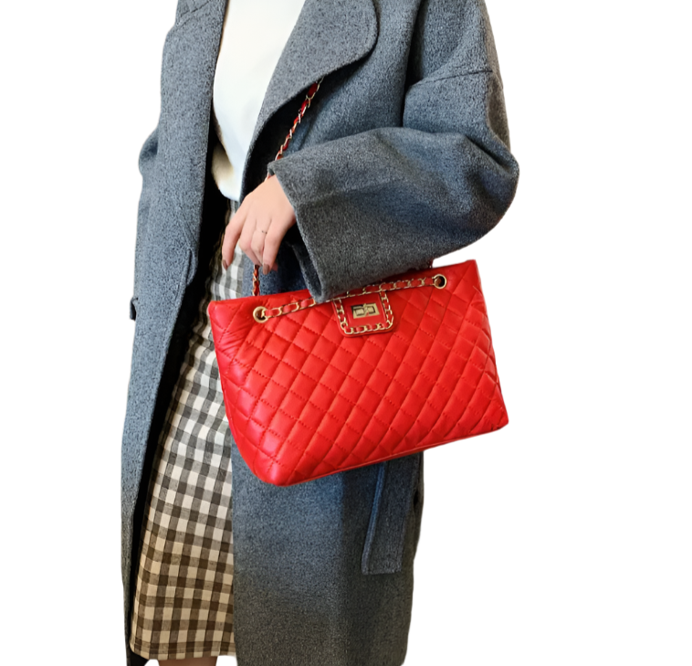 Luxury & Elegant Designer Braided Shoulder Chain BAG-31