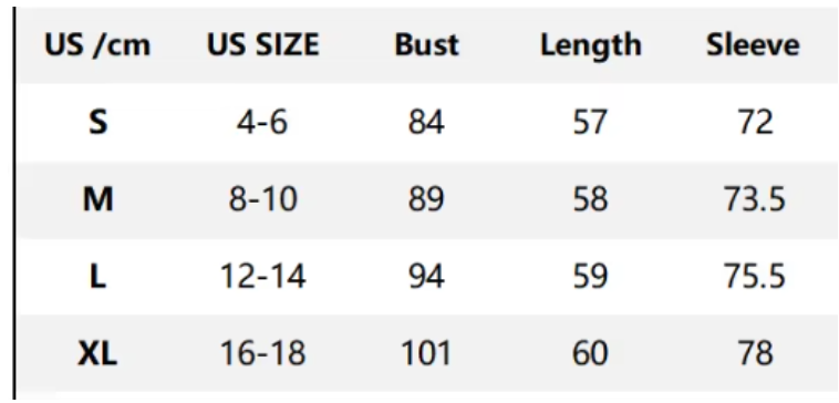 Trendy & Timeless Long Sleeve Leopard Print Top For Woman TOP-B1-BL-242