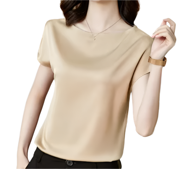 Timeless Women's Stain Silk Small to Plus Size O-neck Short Sleeve SHIRT-BL138