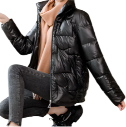 Women’s Trendy & Timeless Puffer Stand Collar Wadded JACKET - JKT-07