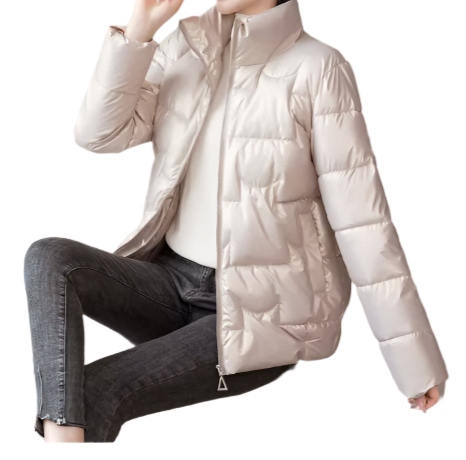 Women’s Trendy & Timeless Puffer Stand Collar Wadded JACKET - JKT-07