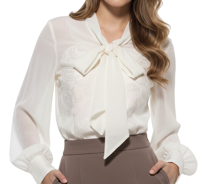Timeless & Elegant  Long Sleeve V-neck Bow Wrinkeled Iren Free Pullover Blouse for Women  - B13-TOP-113