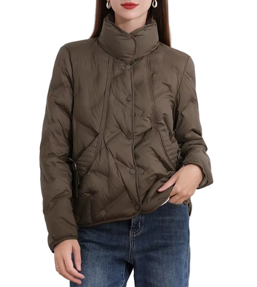 Trendy Lightweight Stand Collar Single Breasted Buttoned Front Warm Soft White Duck Down Versatile Jacket for Women  - B12-JKT-43