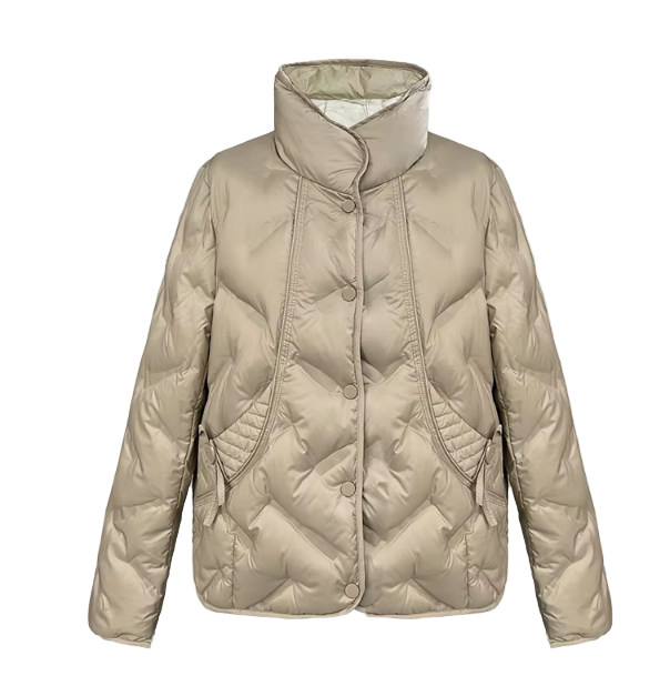 Trendy Lightweight Stand Collar Single Breasted Buttoned Front Warm Soft White Duck Down Versatile Jacket for Women  - B12-JKT-43