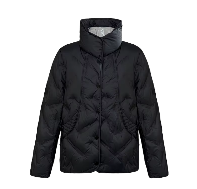 Trendy Lightweight Stand Collar Single Breasted Buttoned Front Warm Soft White Duck Down Versatile Jacket for Women  - B12-JKT-43