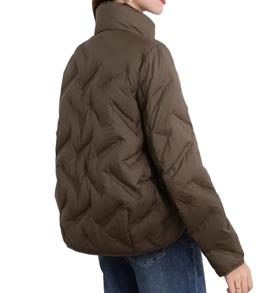 Trendy Lightweight Stand Collar Single Breasted Buttoned Front Warm Soft White Duck Down Versatile Jacket for Women  - B12-JKT-43