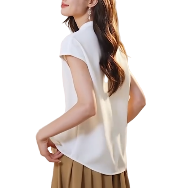 Trendy & Elegant Short Sleeve V-Neck Blouses for Women  - B13-TOP- 38