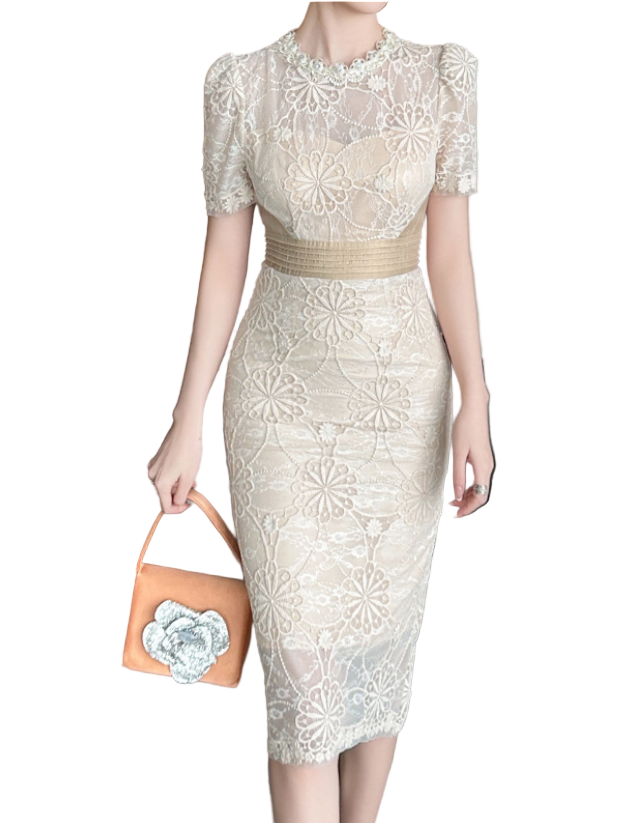 Trendy & Elegant Slim Waist Lace Short Sleeve Pencil Midi Dresses  - B4-Dress-B342