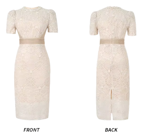 Trendy & Elegant Slim Waist Lace Short Sleeve Pencil Midi Dresses  - B4-Dress-B342