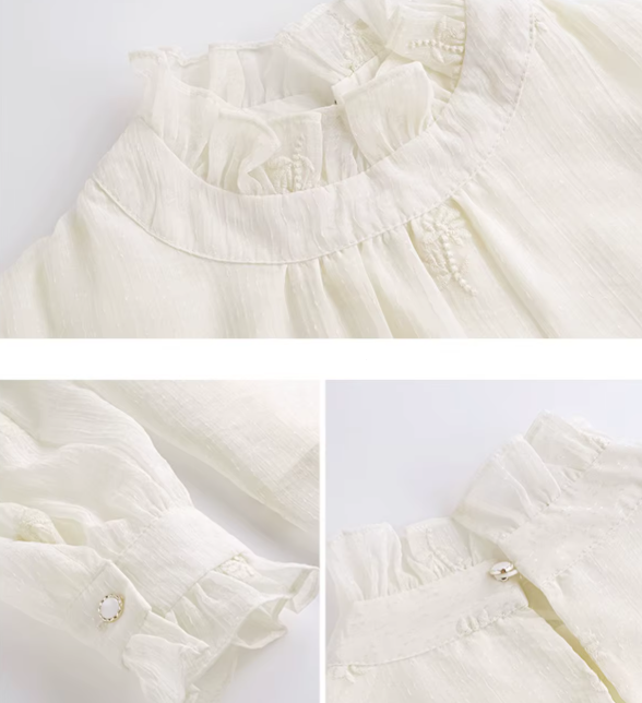 Trendy & Timeless Chiffon Stand Collar Long Sleeve Elegant  Pleated Pullover Blouse  - B13-TOP-04