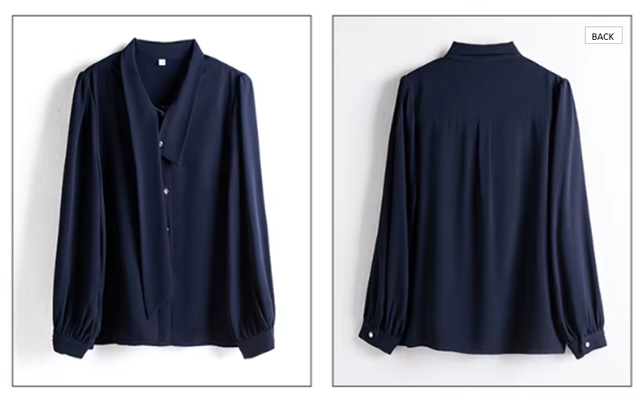 Trendy & Timeless Long Sleeve Blouses for Women - B15-TOP-17