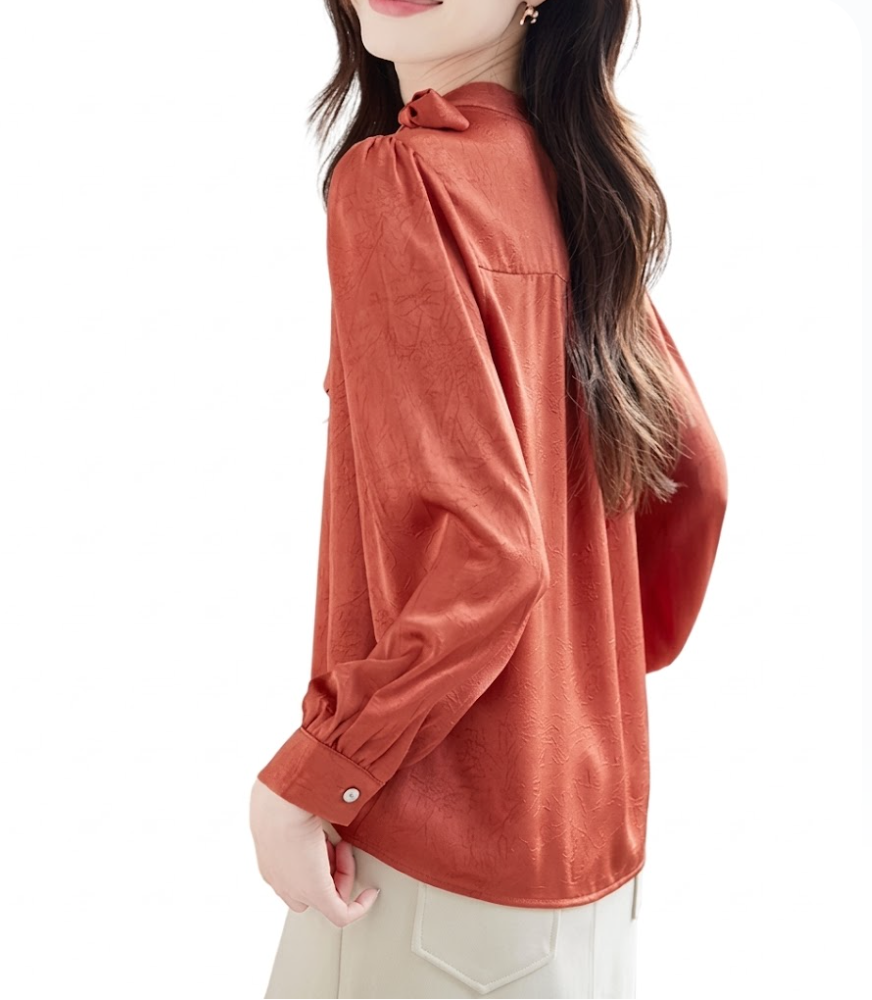 Trendy & Timeless Long Sleeve Bow Pullover Blouses for Women - B15-TOP-39