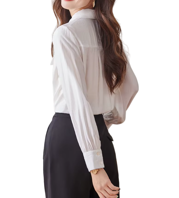 Trendy & Timeless Long Sleeve Front Flap Pocket Button-up Collar Dress Shirts for Women - B15-TOP-25