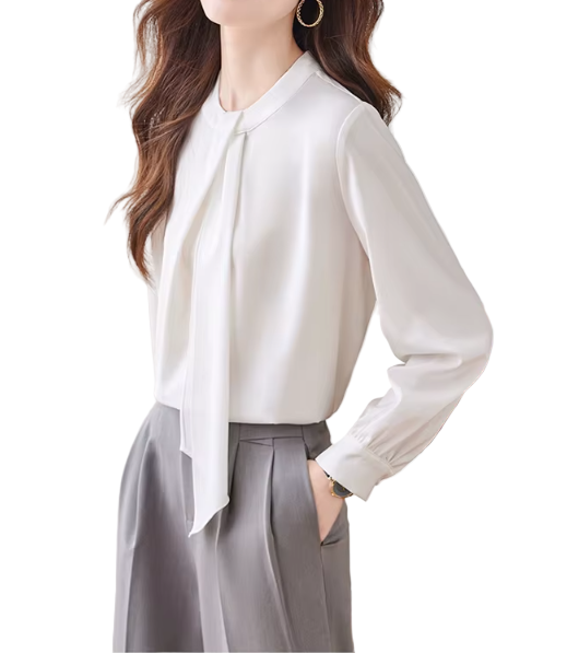 Trendy & Timeless Long Sleeve O-neck Pullover Blouses for Women - B15-TOP-63