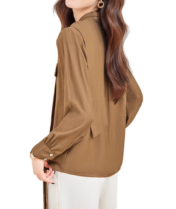 Trendy & Timeless Long Sleeve V-neck Pullover Blouses for Women - B15-TOP-73