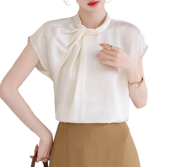 Trendy & Timeless Short Sleeve Elegant Pullover Blouse for Women  - B13-TOP-22