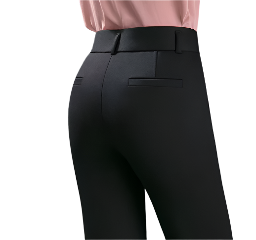 Trendy & Timeless Women’s High Quality High Waist Trousers PANTS-DP-15