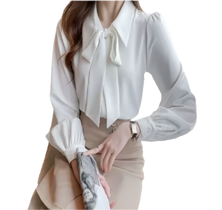 Classy and Elegant Long Sleeve Blouse for Women – BL07