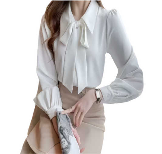Classy and Elegant Long Sleeve Blouse for Women – BL07