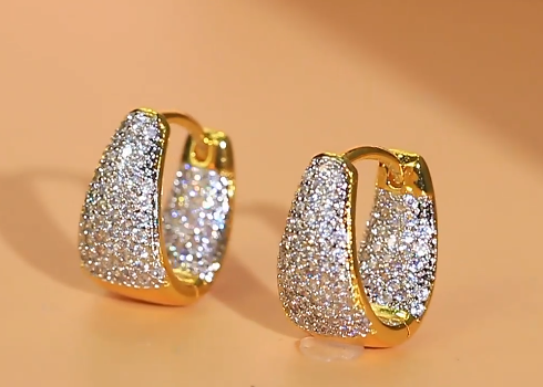Trendy Micro Inlaid Gold Plated Cubic Zirconia Hoop Earrings for Women - CZ-Earring- ER - 07
