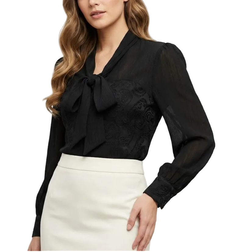 Timeless & Elegant  Long Sleeve V-neck Bow Wrinkeled Iren Free Pullover Blouse for Women  - B13-TOP-113