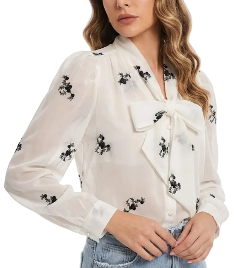 Trendy & Elegant Long Sleeve Chiffon Blouses for Women  - B13-TOP-417