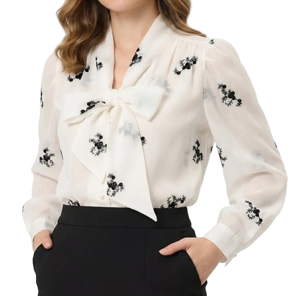 Trendy & Elegant Long Sleeve Chiffon Blouses for Women  - B13-TOP-417