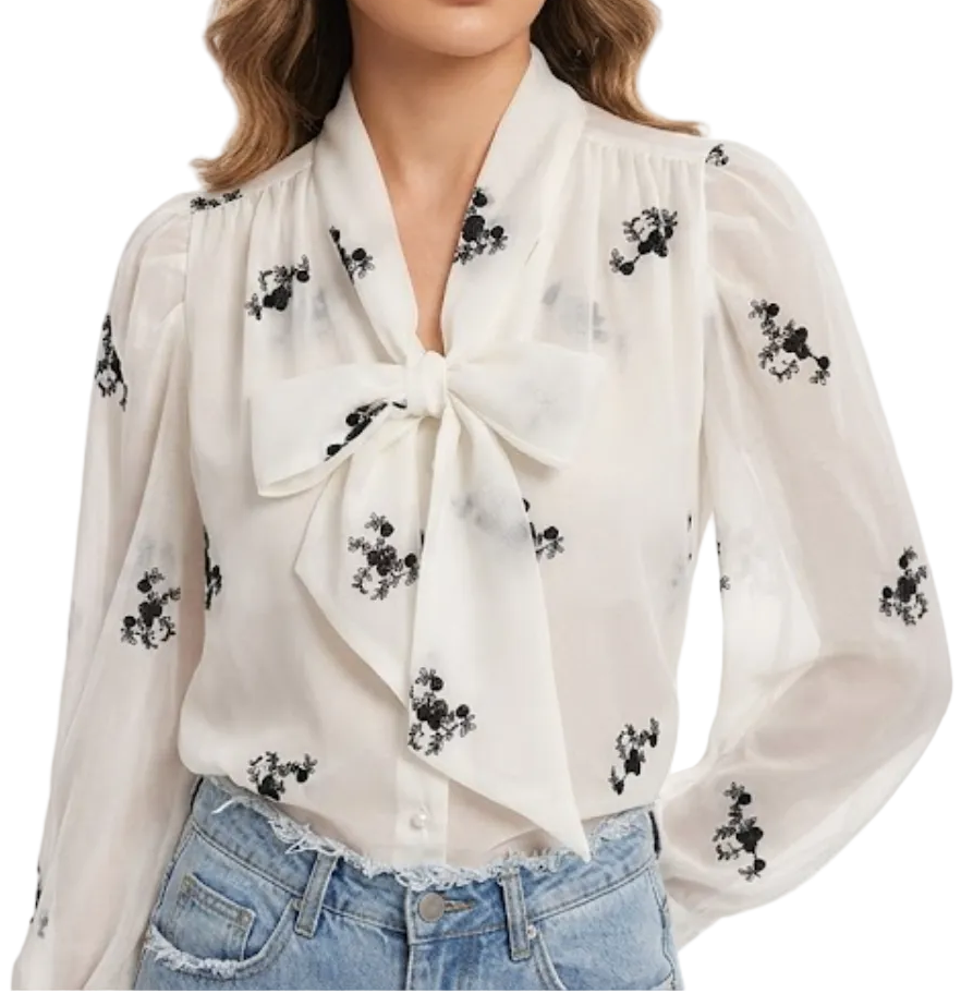 Trendy & Elegant Long Sleeve Chiffon Blouses for Women  - B13-TOP-417