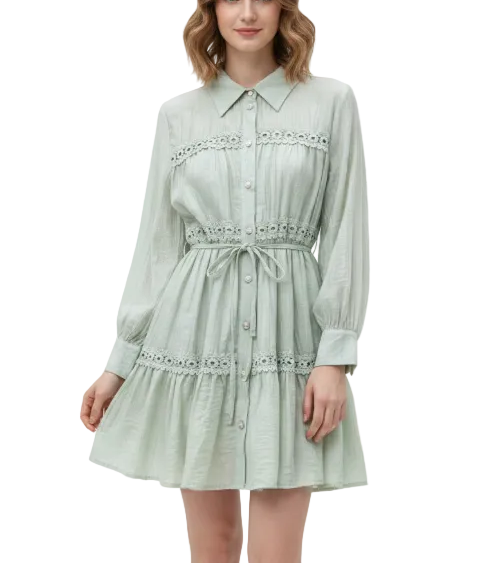 Trendy & Elegant Long Sleeve Mini Dresses - B6-DRESS-87