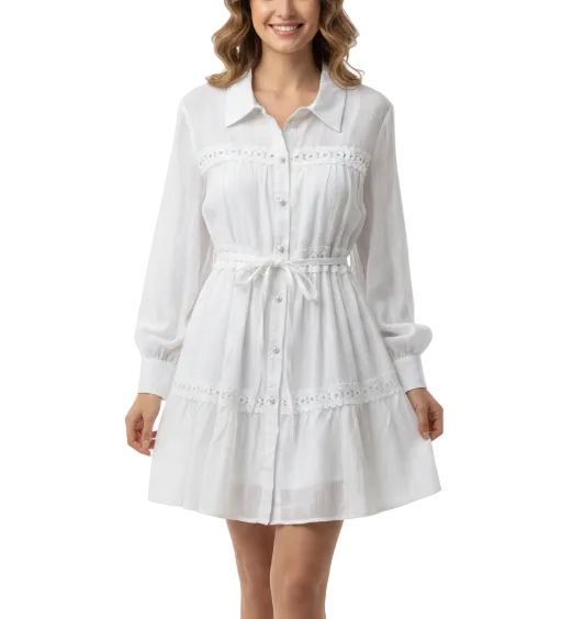 Trendy & Elegant Long Sleeve Mini Dresses - B6-DRESS-87