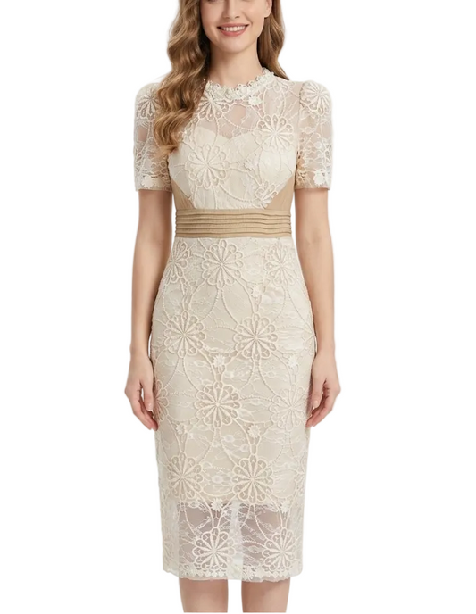 Trendy & Elegant Slim Waist Lace Short Sleeve Pencil Midi Dresses  - B4-Dress-B342