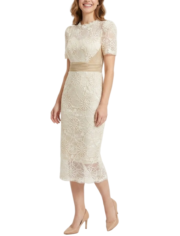Trendy & Elegant Slim Waist Lace Short Sleeve Pencil Midi Dresses  - B4-Dress-B342