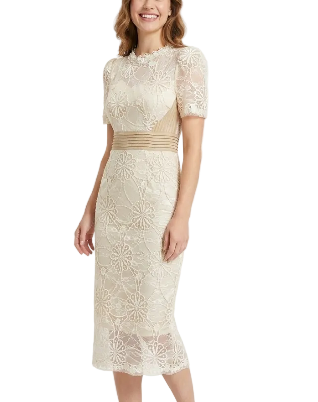 Trendy & Elegant Slim Waist Lace Short Sleeve Pencil Midi Dresses  - B4-Dress-B342