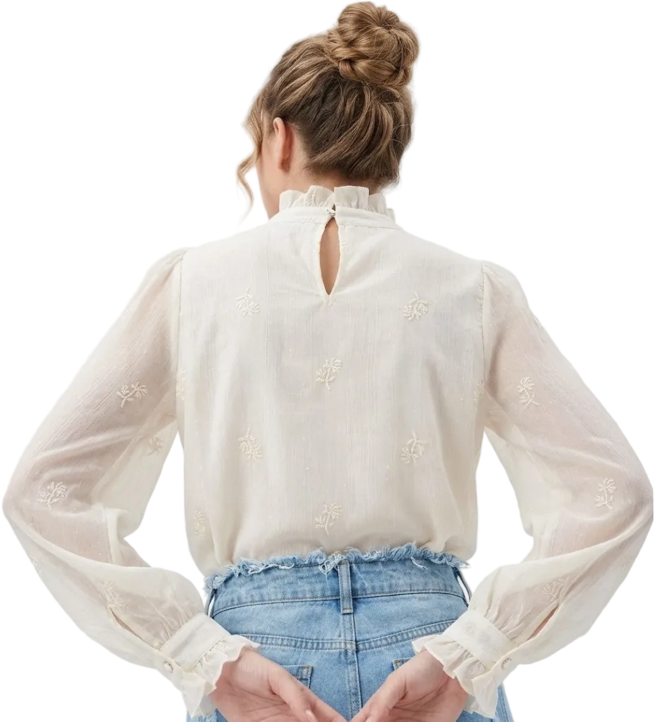 Trendy & Timeless Chiffon Stand Collar Long Sleeve Elegant  Pleated Pullover Blouse  - B13-TOP-04