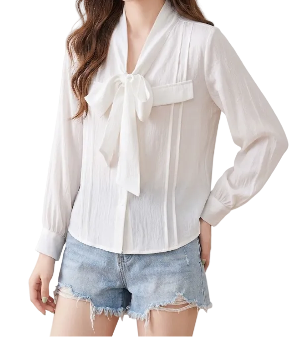 Trendy & Timeless Long Sleeve V-neck Pullover Blouses for Women - B15-TOP-73