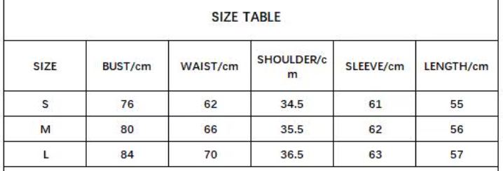 Timeless & Elegant Long Sleeve Faux Double Layer Blouse for Women - BP-B20 -TOP-264